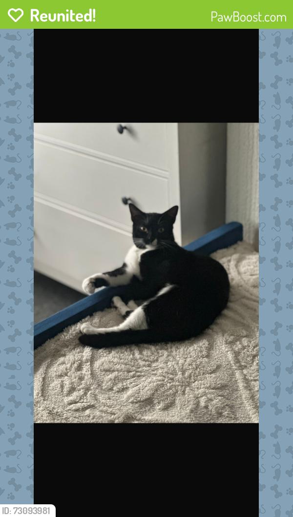 Reunited Male Cat last seen WS54NN, Walsall, England 
