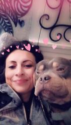 Lost Male Dog last seen By industrial area, Ventura, CA 93003
