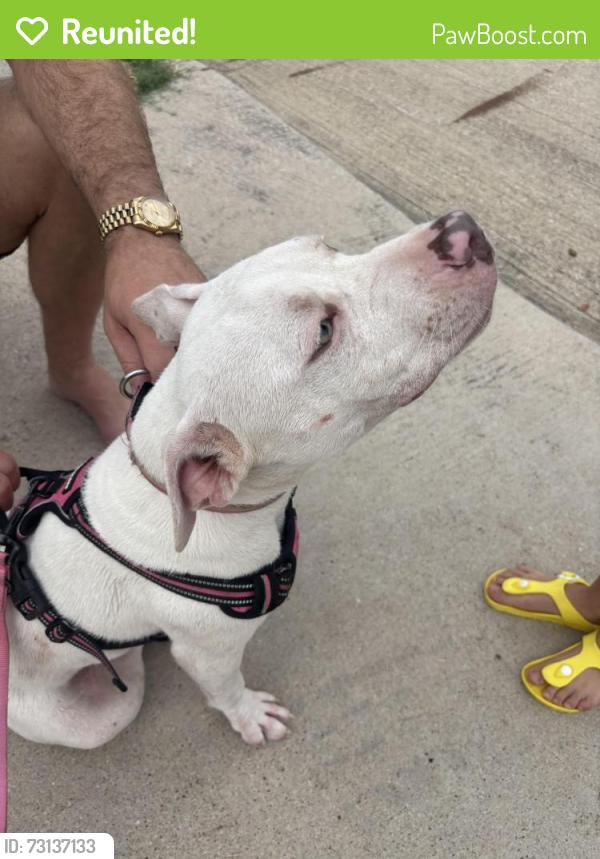 Reunited Female Dog last seen Near 26 & Colorado blvd, North Richland Hills, TX 76180