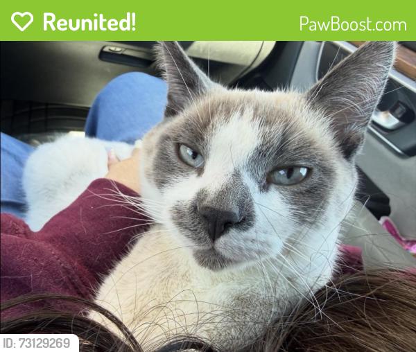 Reunited Male Cat last seen West Goshen twp PA, West Chester, PA 19382