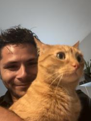 Reunited Female Cat last seen Tremont athletic club, Cleveland, OH 44113
