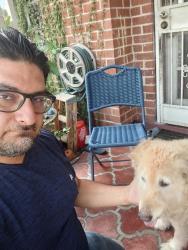 Reunited Female Dog last seen Country club and ft lowell, Tucson, AZ 85716