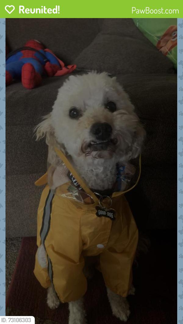 Reunited Male Dog last seen Valley, Las Cruces, NM 88007