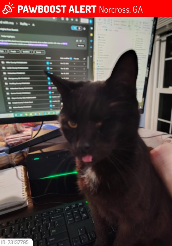 Lost Male Cat last seen Near Brooklyn Lane Norcross GA 30093, Norcross, GA 30093