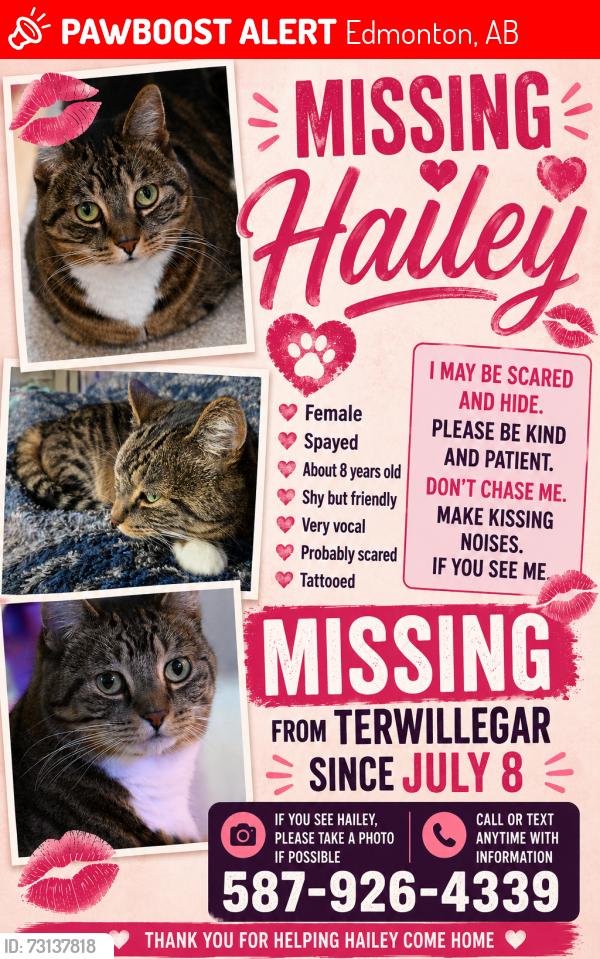 Lost Female Cat last seen Thibault way and South Terwillegar Blvd, Edmonton, AB 