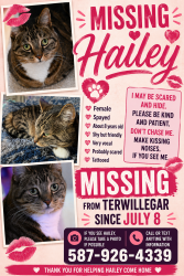 Lost Female Cat last seen Thibault way and South Terwillegar Blvd, Edmonton, AB 