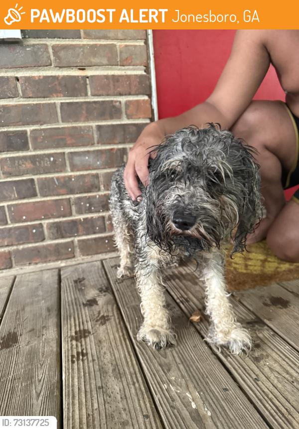 Found/Stray Unknown Dog last seen Near Flint River, Jonesboro, GA 30236