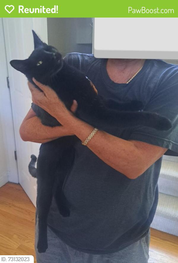 Reunited Female Cat last seen Near Easley Rd & W 64th Ave, Golden, CO 80403