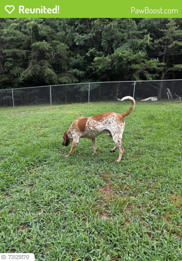 Reunited Male Dog last seen Dewey Martin Dr, Anglin Mill Rd, NC 24165