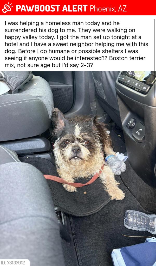 Lost Male Dog last seen 51st and Happy Valley, Phoenix, AZ 85085