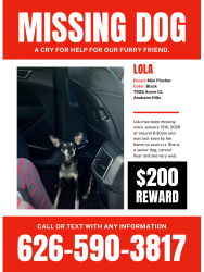 Lost Female Dog last seen By her home, Anaheim, CA 92808