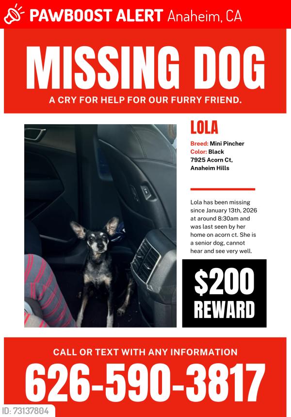 Lost Female Dog last seen By her home, Anaheim, CA 92808