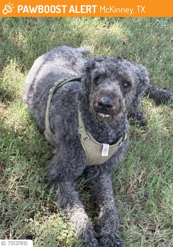 Found/Stray Male Dog last seen Near and hardin, McKinney, TX 75069
