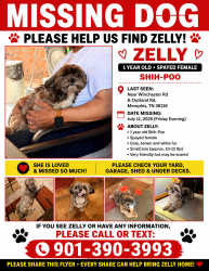Lost Female Dog last seen Winchester/Outland, Memphis, TN 38118