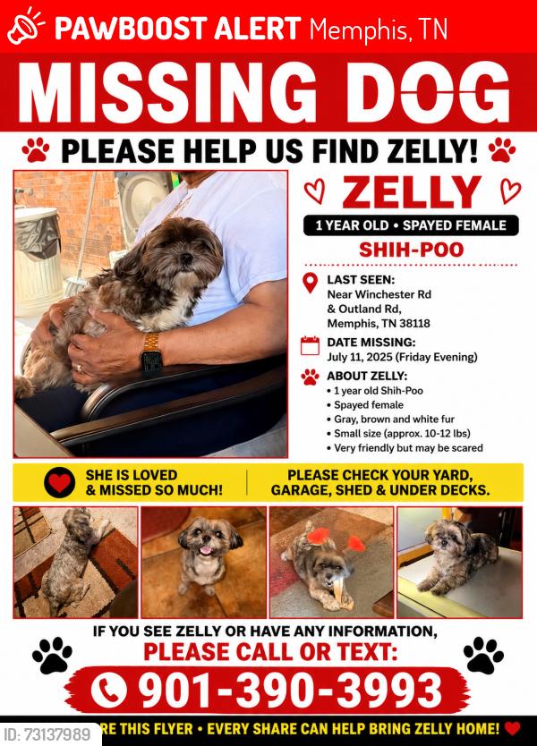 Lost Female Dog last seen Winchester/Outland, Memphis, TN 38118