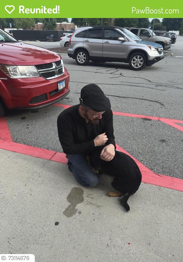 Reunited Female Dog last seen Pleasant Hill Rd, Duluth, GA 30098