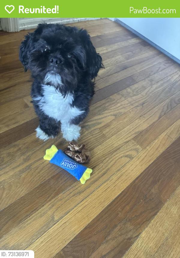 Reunited Male Dog last seen Redman and Prentice, Florissant, MO 63033
