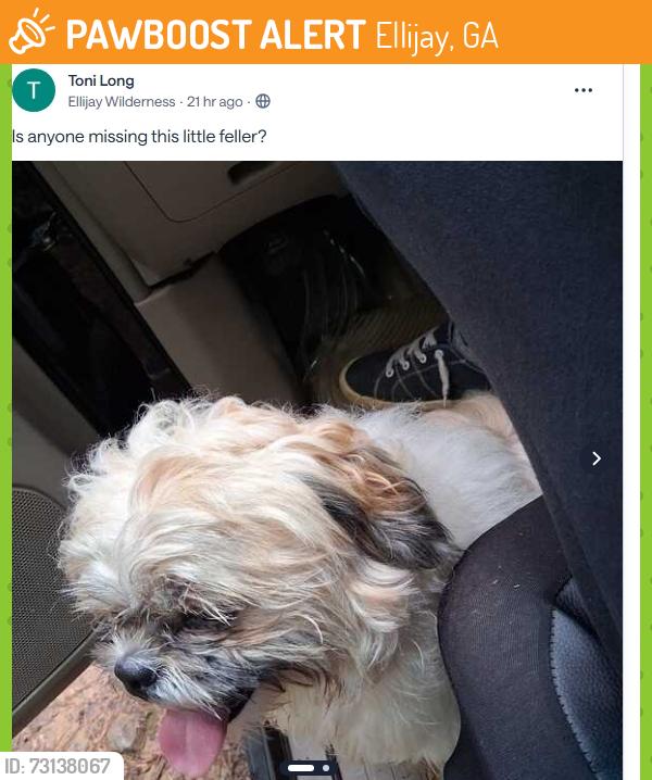 Found/Stray Unknown Dog last seen don't know this was posted on nextdoor, Ellijay, GA 30540