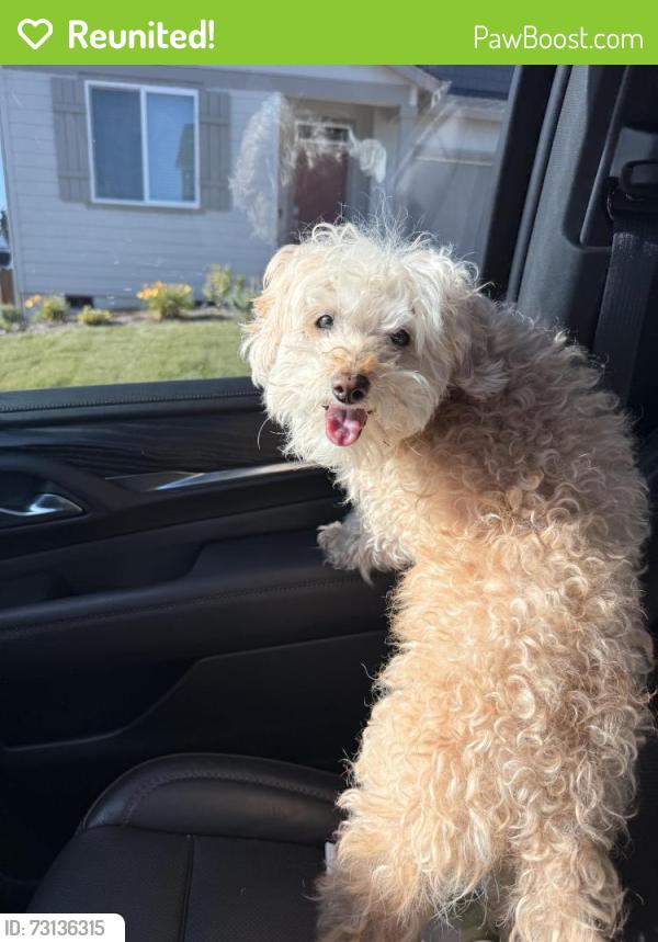 Reunited Female Dog last seen SE 282nd and Powell Valley Re., Gresham, OR 97080