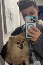 Lost Female Dog last seen Paulding, The Bronx, NY 10466