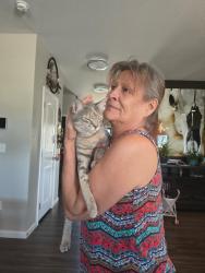 Reunited Female Cat last seen Open space between franklin street and Glen Creighton, Dacono, CO 80514
