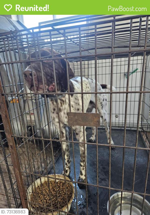 Reunited Unknown Dog last seen Turkeyhill rd east earl pa, East Earl, PA 17519