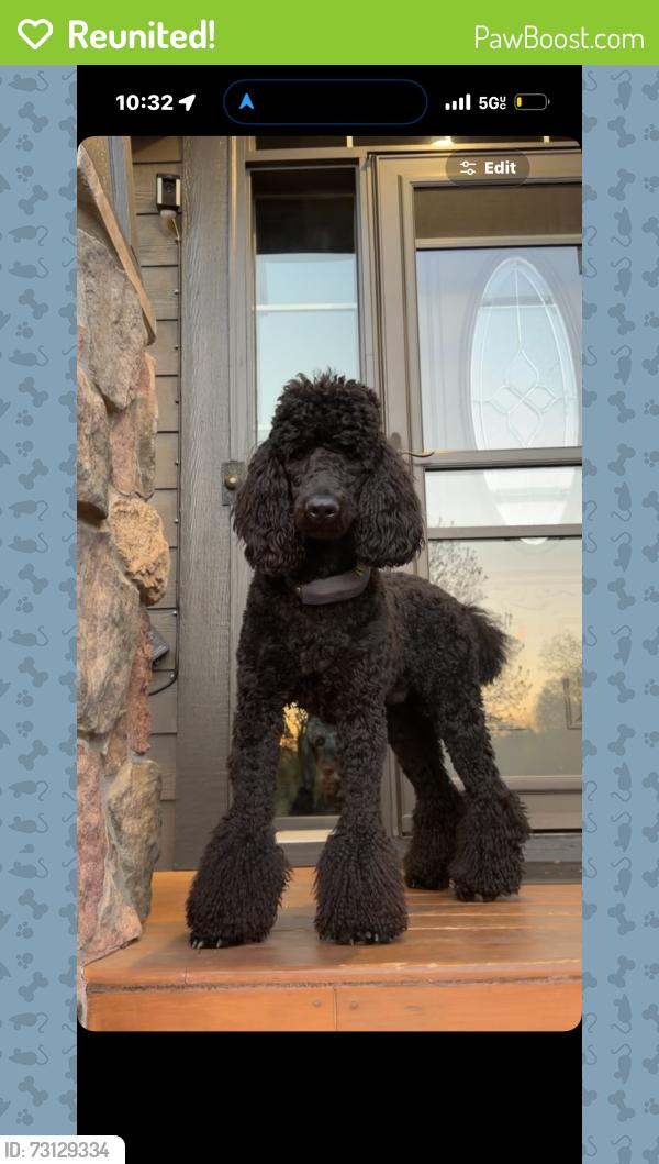 Reunited Male Dog last seen Andover Christian church, Andover, MN 55304