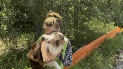 Reunited Male Dog last seen Bay Rum Lane and Mackinac Island Lane, Raleigh, NC 27610