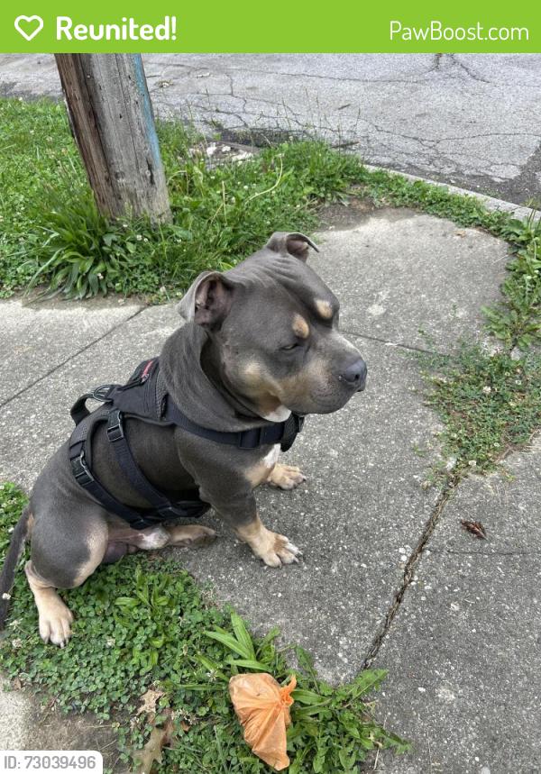 Reunited Male Dog last seen E 19th street and Hawthorne lane, Indianapolis, IN 46218