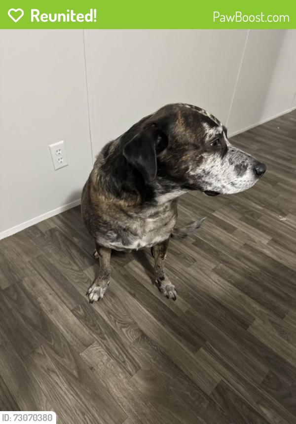 Reunited Male Dog last seen Near Edwards Rd, Denton, TX, 76208, Denton, TX 76208