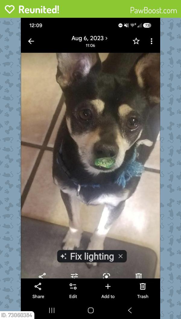 Reunited Male Dog last seen Juan tabo, Albuquerque, NM 87123