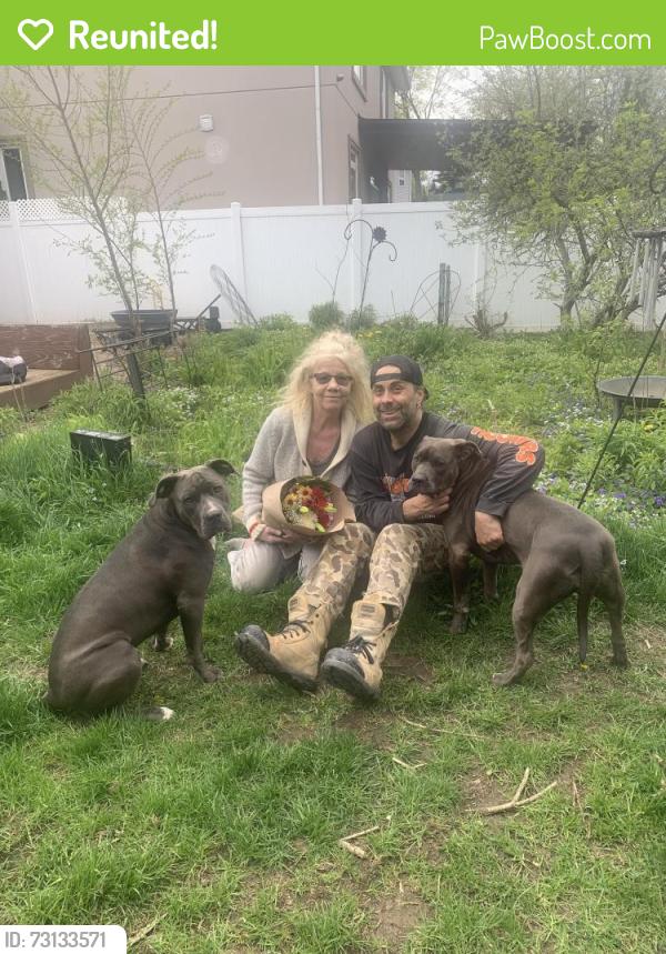 Reunited Female Dog last seen Near Leda ave, Mississauga, ON L5G 4B9