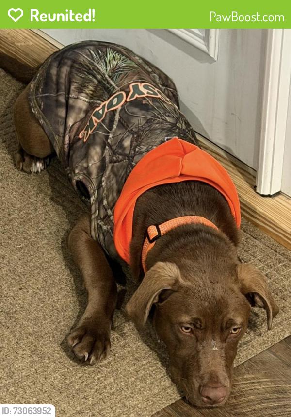 Reunited Male Dog last seen Near Giles Rd, Linden, NC 28356, Linden, NC 28356