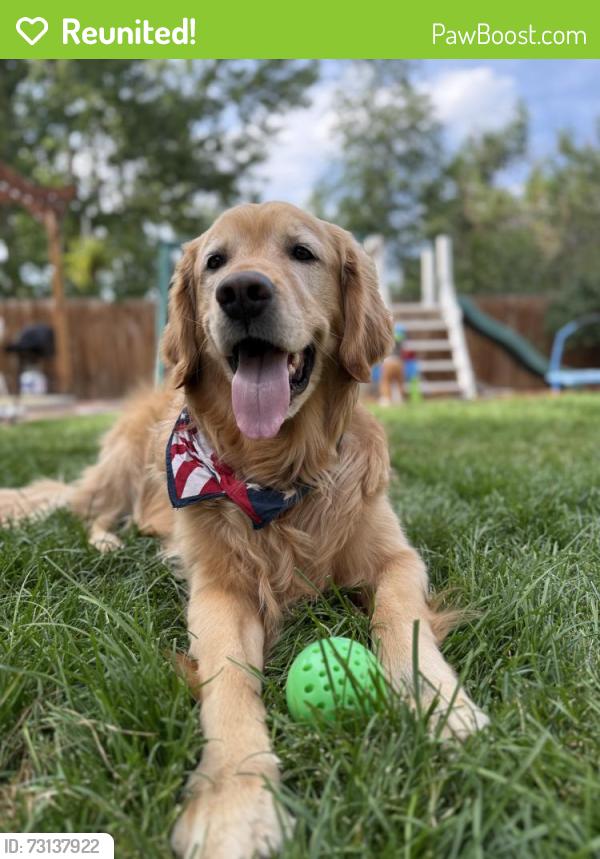 Reunited Male Dog last seen Galapago and Union, Englewood, CO 80110
