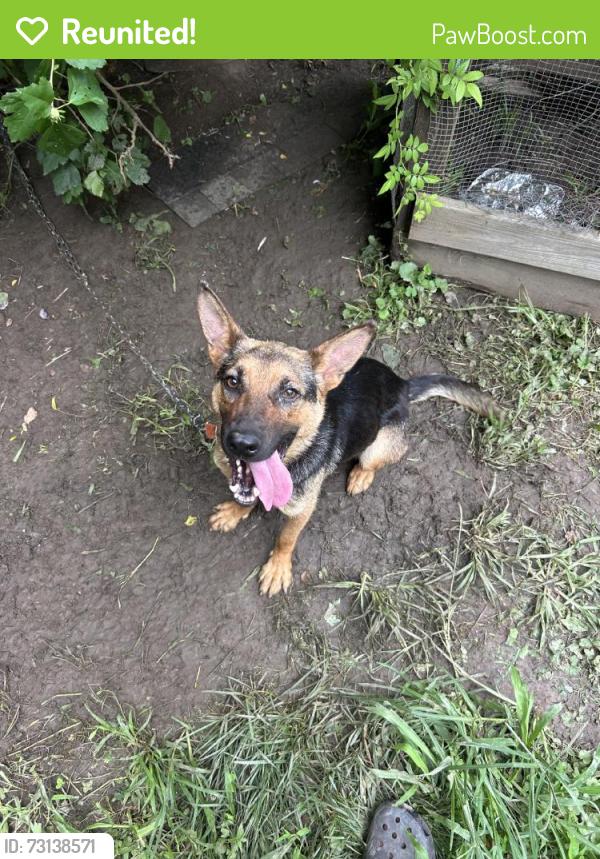Reunited Female Dog last seen Michigan Rd, Florida 32702, USA, Lake County, FL 32702