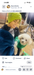 Lost Female Dog last seen Near leaning oaks, Flint, TX 75762