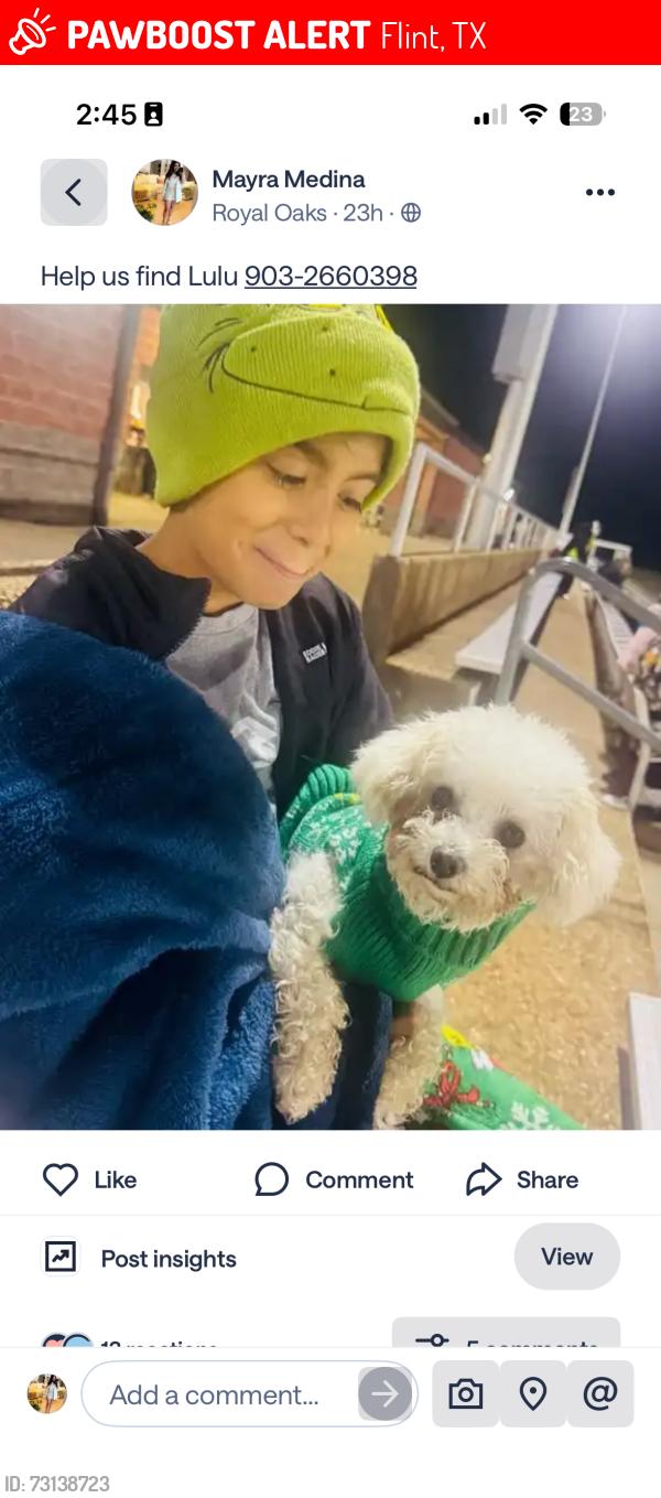 Lost Female Dog last seen Near leaning oaks, Flint, TX 75762