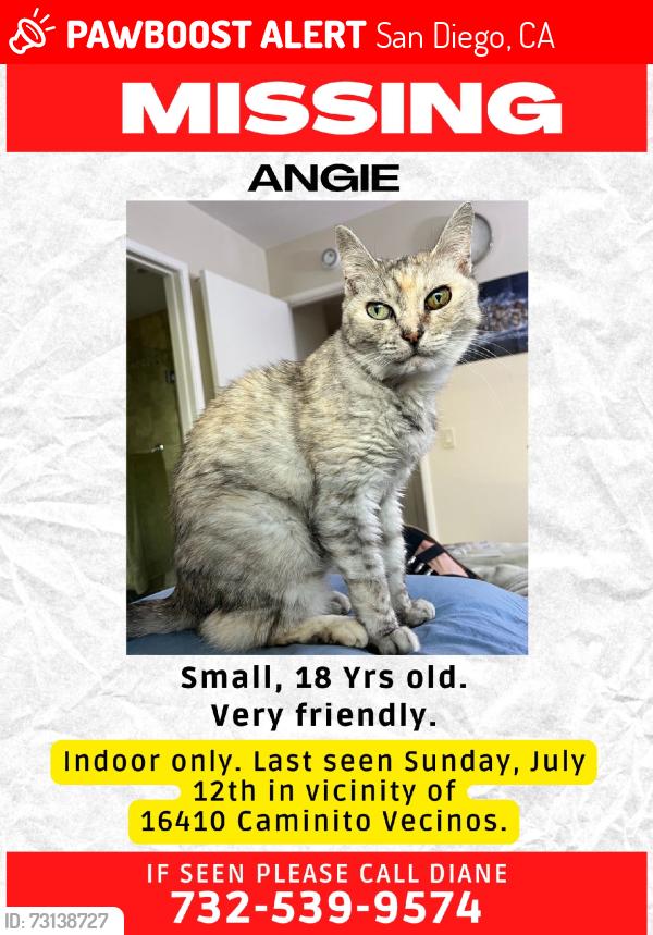 Lost Female Cat last seen Pomerado Road, San Diego, CA 92128