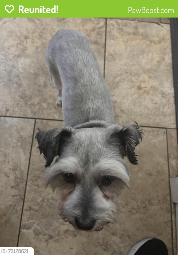 Reunited Female Dog last seen Via Vista and Wimbledon ct., Riverside, CA 92506