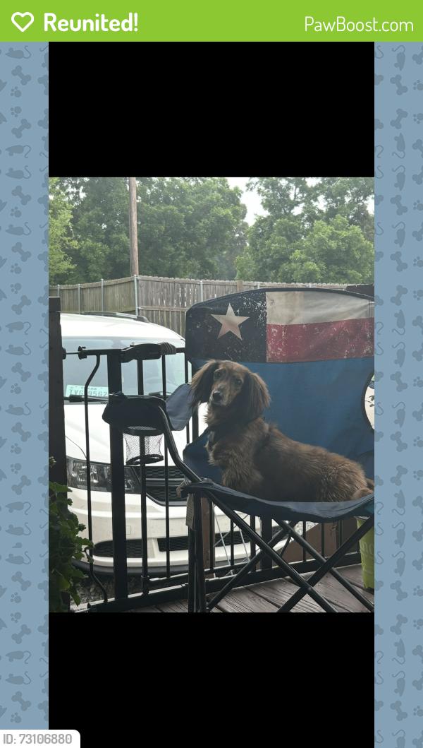 Reunited Female Dog last seen Near us hwy 175 e Poynor tx 75782, LaRue, TX 75770