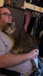 Lost Male Cat last seen 28th and G street, Springfield, OR 97477
