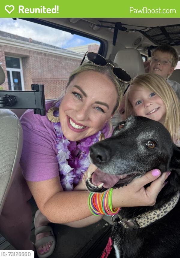 Reunited Female Dog last seen Danieldale, DeSoto, TX 75115