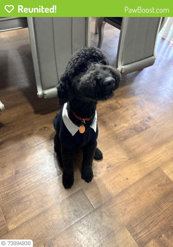 Reunited Male Dog last seen Dove valley, San Antonio, TX 78242