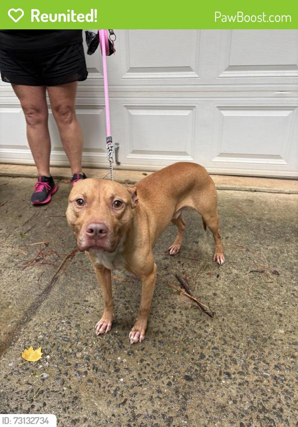 Reunited Male Dog last seen Sunnystone Way, Barton’s Creek Bluff, Raleigh, NC 27613