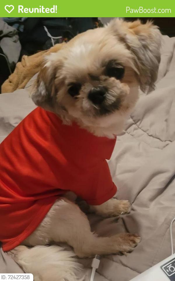 Reunited Female Dog last seen Frayser Blvd and Watkins, Memphis, TN 38127