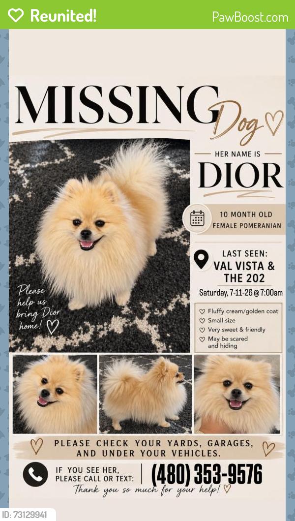 Reunited Female Dog last seen Val Vista/ Germann, Gilbert, AZ 85297