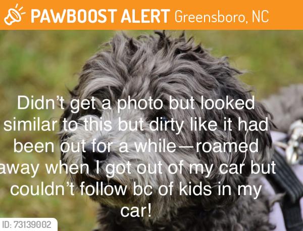 Found/Stray Unknown Dog last seen Watauga and westminister—walking down Westminster towards brown bark, Greensboro, NC 27410