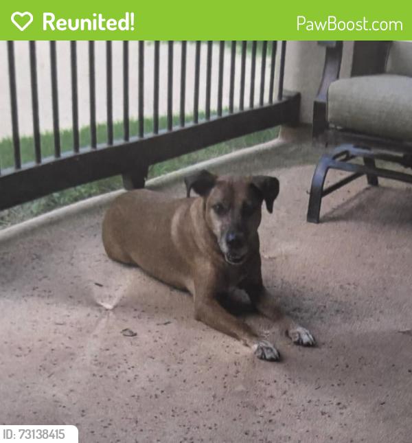 Reunited Male Dog last seen W.T. Montgomery and Freedom Way, San Antonio, TX 78245