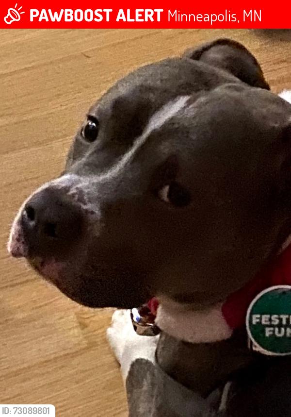Lost Male Dog last seen Lake road ave Minneapolis,MN 55422, Minneapolis, MN 55422