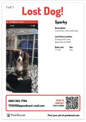 Lost Male Dog last seen Hosking Ave & S. Union Ave, Bakersfield, CA 93307
